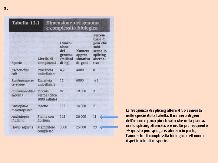 3. La frequenza di splicing alternativo aumenta nelle specie della tabella. Il numero di