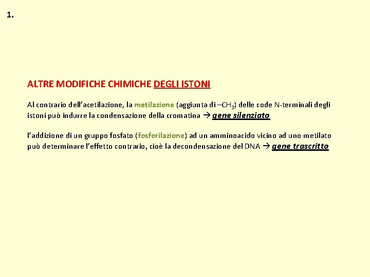 1. ALTRE MODIFICHE CHIMICHE DEGLI ISTONI Al contrario dell’acetilazione, la metilazione (aggiunta di –CH