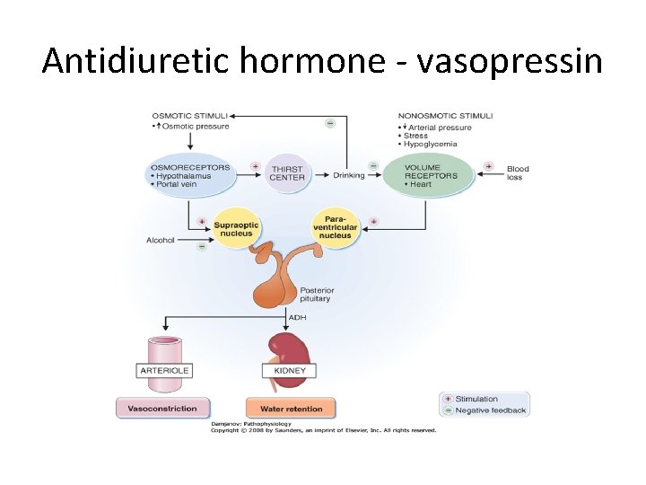 Antidiuretic hormone vasopressin 
