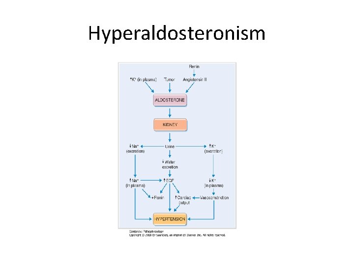 Hyperaldosteronism 