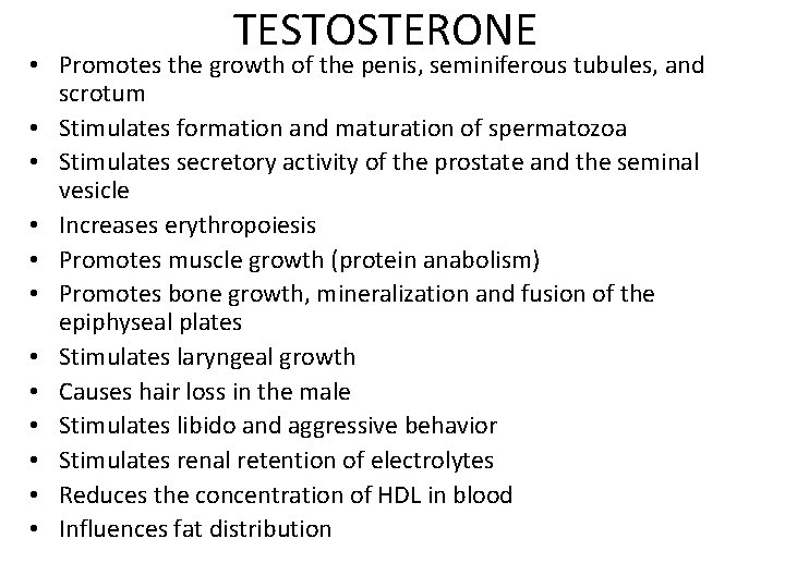 TESTOSTERONE • Promotes the growth of the penis, seminiferous tubules, and scrotum • Stimulates