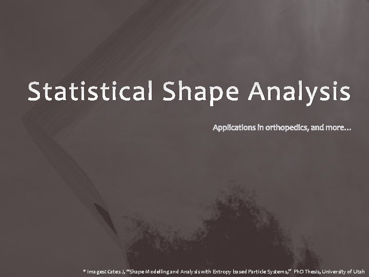 Statistical Shape Analysis Images Cates J Shape Modelling