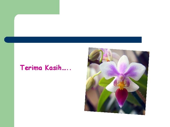 Terima Kasih…. . 