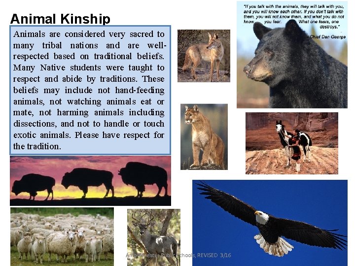 Animal Kinship Animals are considered very sacred to many tribal nations and are wellrespected Animal Kinship Animals are considered very sacred to many tribal nations and are wellrespected