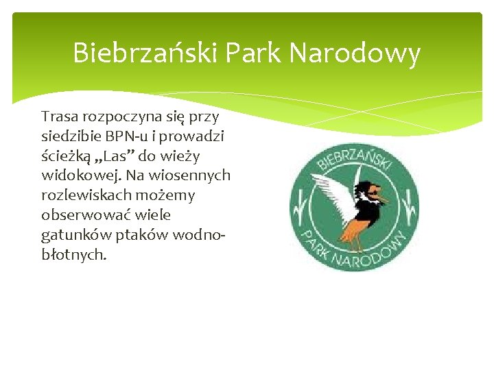Biebrzański Park Narodowy Trasa rozpoczyna się przy siedzibie BPN-u i prowadzi ścieżką „Las” do