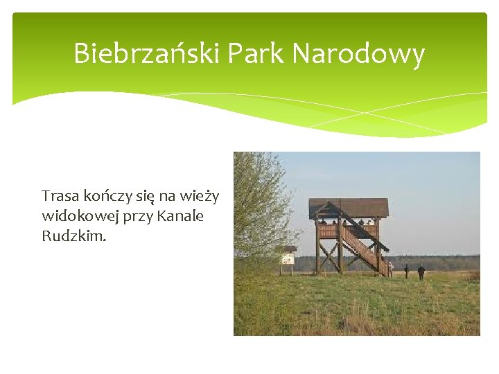 Biebrzański Park Narodowy Trasa kończy się na wieży widokowej przy Kanale Rudzkim. 