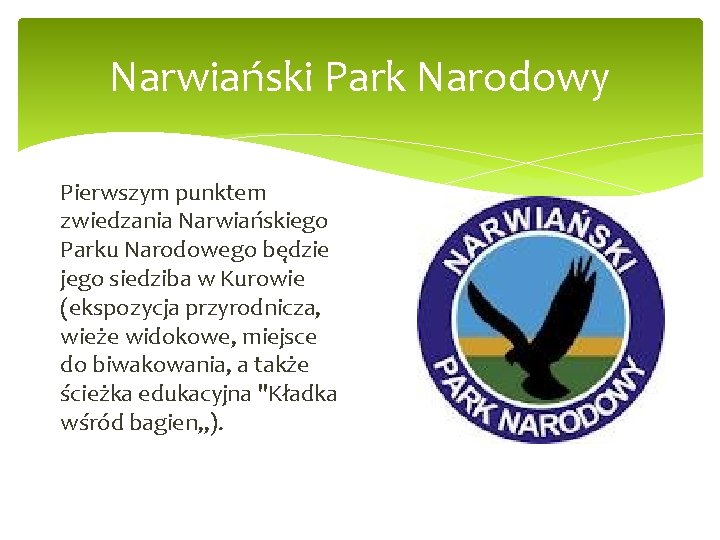 Narwiański Park Narodowy Pierwszym punktem zwiedzania Narwiańskiego Parku Narodowego będzie jego siedziba w Kurowie