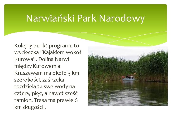 Narwiański Park Narodowy Kolejny punkt programu to wycieczka "Kajakiem wokół Kurowa". Dolina Narwi między
