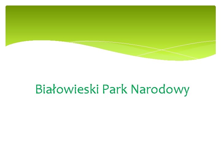 Białowieski Park Narodowy 