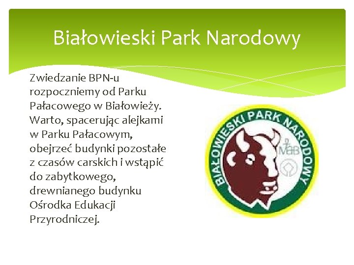 Białowieski Park Narodowy Zwiedzanie BPN-u rozpoczniemy od Parku Pałacowego w Białowieży. Warto, spacerując alejkami