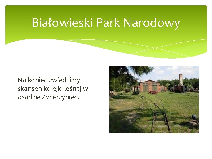Białowieski Park Narodowy Na koniec zwiedzimy skansen kolejki leśnej w osadzie Zwierzyniec. 