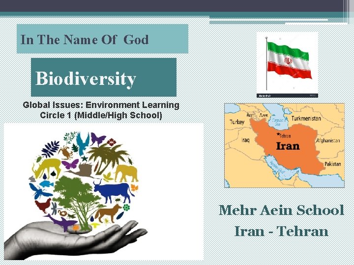 In The Name Of God Biodiversity Global Issues: Environment Learning Circle 1 (Middle/High School)