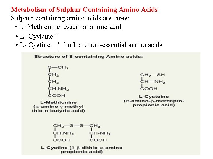 Metabolism of Sulphur Containing Amino Acids Sulphur containing amino acids are three: • L-