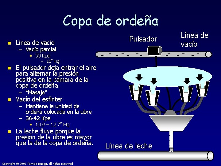 Copa de ordeña n Línea de vacío Pulsador – Vacío parcial § 50 Kpa