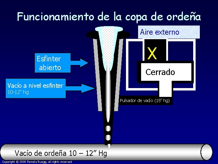 Funcionamiento de la copa de ordeña Aire externo Esfinter abierto X Cerrado Vacío a