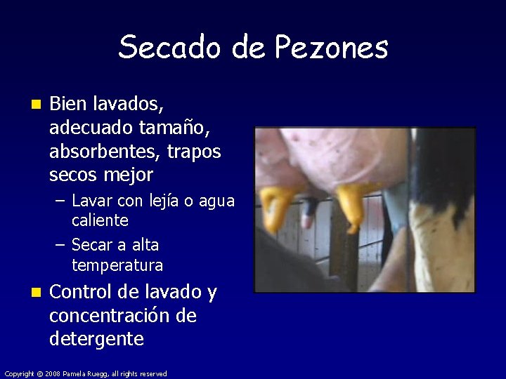 Secado de Pezones n Bien lavados, adecuado tamaño, absorbentes, trapos secos mejor – Lavar