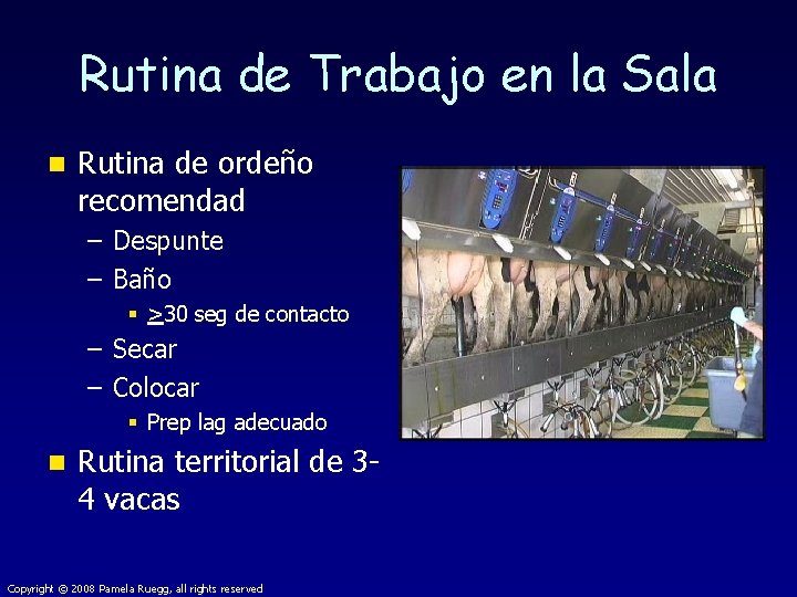 Rutina de Trabajo en la Sala n Rutina de ordeño recomendad – Despunte –