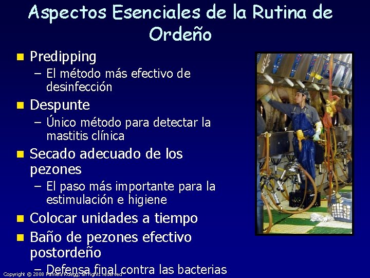 Aspectos Esenciales de la Rutina de Ordeño n Predipping – El método más efectivo