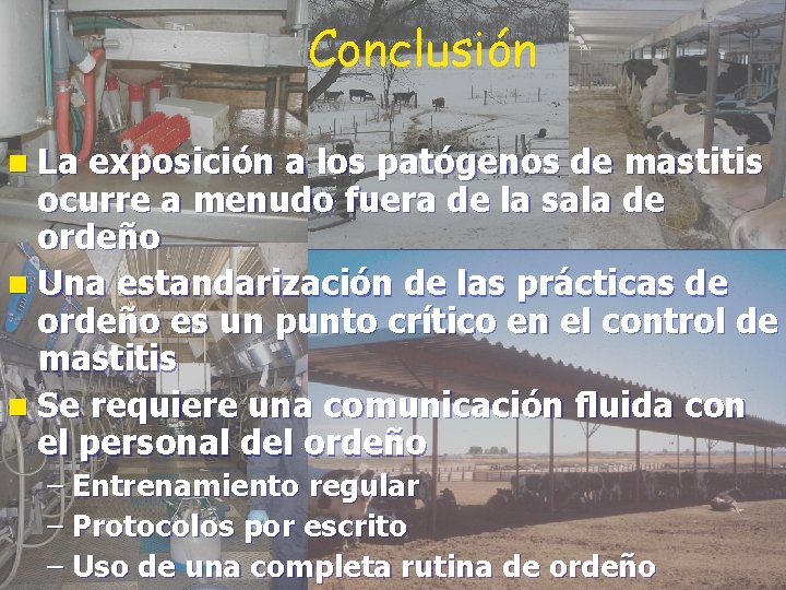 Conclusión n La exposición a los patógenos de mastitis ocurre a menudo fuera de