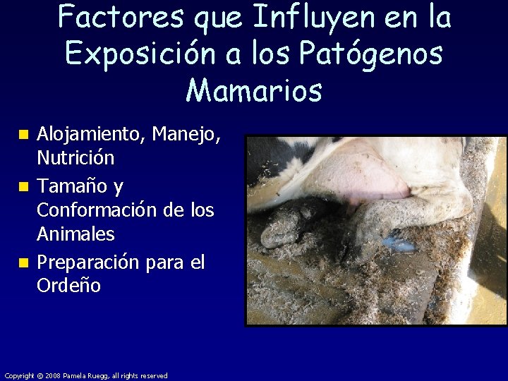 Factores que Influyen en la Exposición a los Patógenos Mamarios Alojamiento, Manejo, Nutrición n