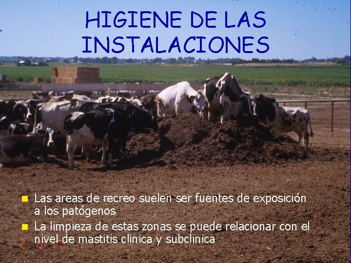 HIGIENE DE LAS INSTALACIONES Las areas de recreo suelen ser fuentes de exposición a