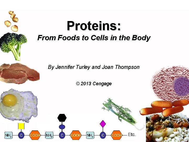 Proteins: From Foods to Cells in the Body By Jennifer Turley and Joan Thompson