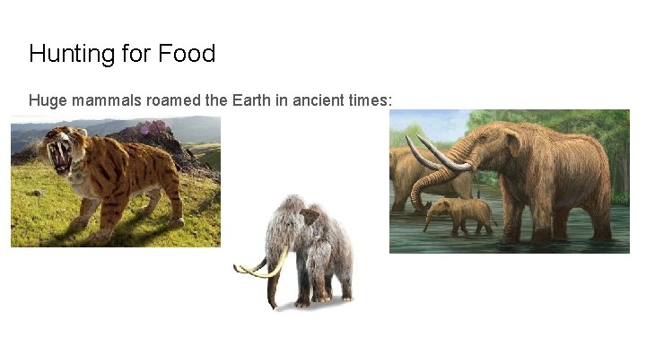 Hunting for Food Huge mammals roamed the Earth in ancient times: 