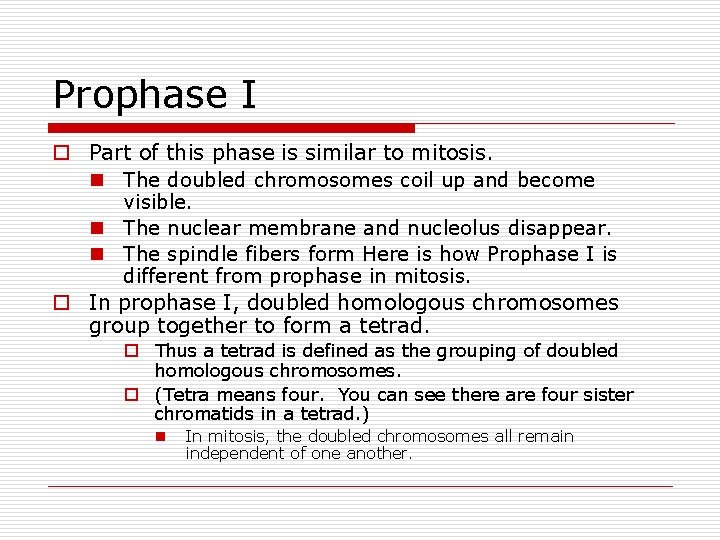 Prophase I o Part of this phase is similar to mitosis. n The doubled