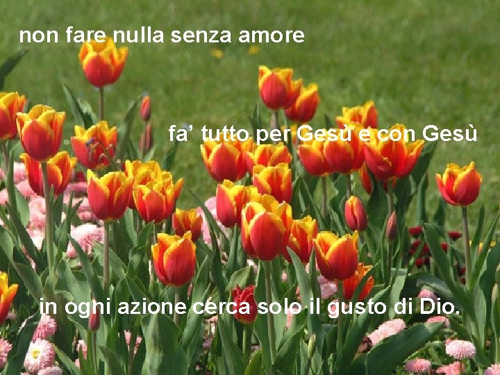 non fare nulla senza amore fa’ tutto per Gesù e con Gesù in ogni