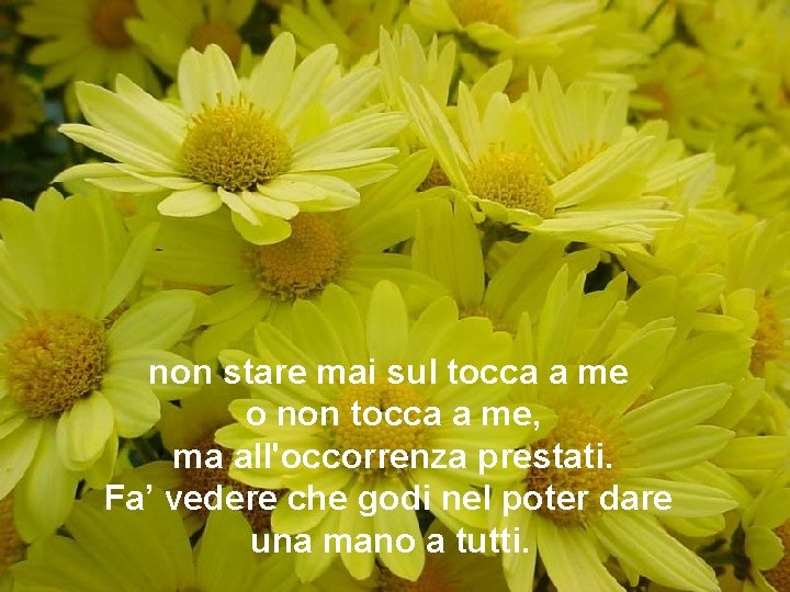 non stare mai sul tocca a me o non tocca a me, ma all'occorrenza