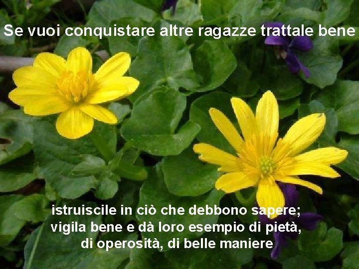 Se vuoi conquistare altre ragazze trattale bene istruiscile in ciò che debbono sapere; vigila