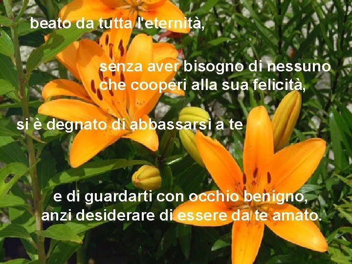 beato da tutta l'eternità, senza aver bisogno di nessuno che cooperi alla sua felicità,