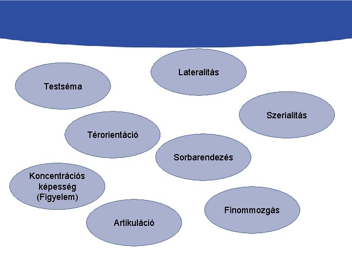 Lateralitás Testséma Szerialitás Térorientáció Sorbarendezés Koncentrációs képesség (Figyelem) Finommozgás Artikuláció 