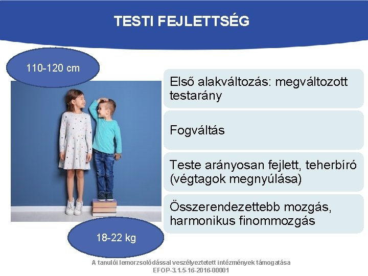 TESTI FEJLETTSÉG 110 -120 cm Első alakváltozás: megváltozott testarány Fogváltás Teste arányosan fejlett, teherbíró