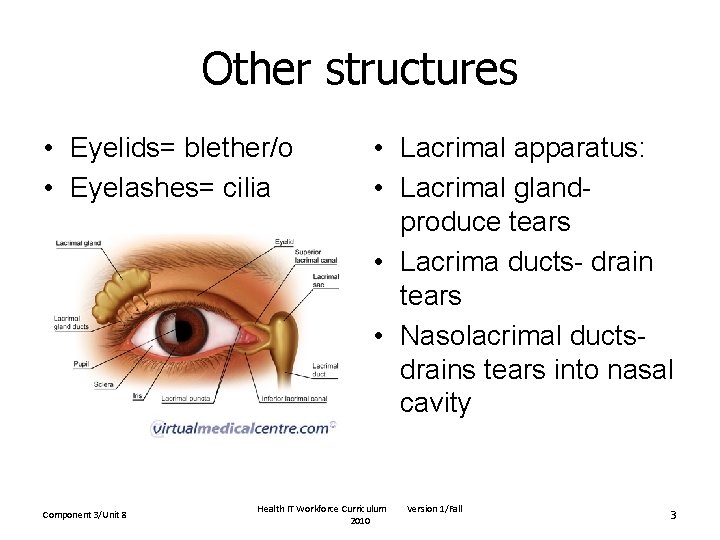 Other structures • Eyelids= blether/o • Eyelashes= cilia Component 3/Unit 8 • Lacrimal apparatus: