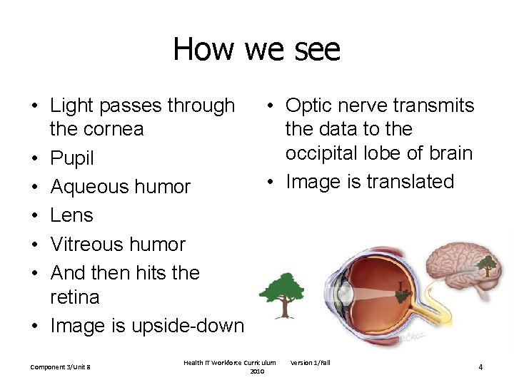 How we see • Light passes through the cornea • Pupil • Aqueous humor
