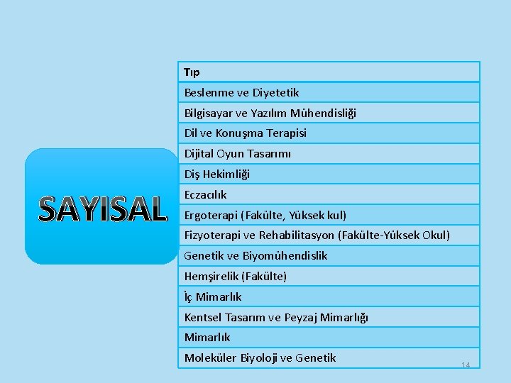 Tıp Beslenme ve Diyetetik Bilgisayar ve Yazılım Mühendisliği Dil ve Konuşma Terapisi Dijital Oyun