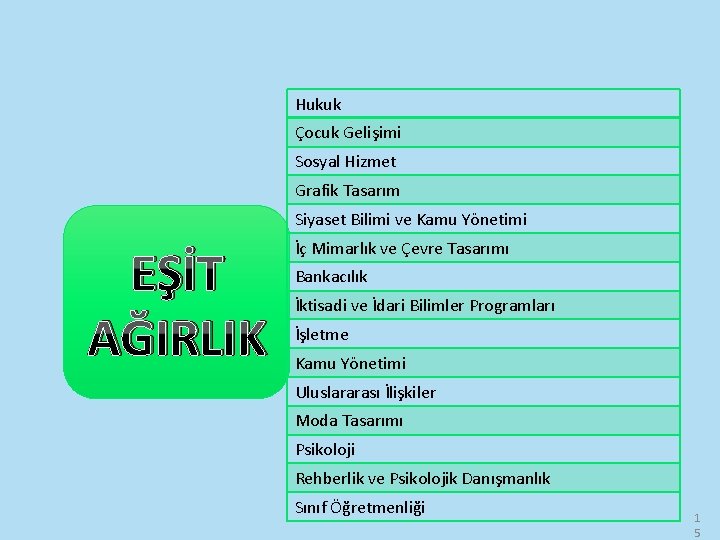 Hukuk Çocuk Gelişimi Sosyal Hizmet Grafik Tasarım Siyaset Bilimi ve Kamu Yönetimi EŞİT AĞIRLIK