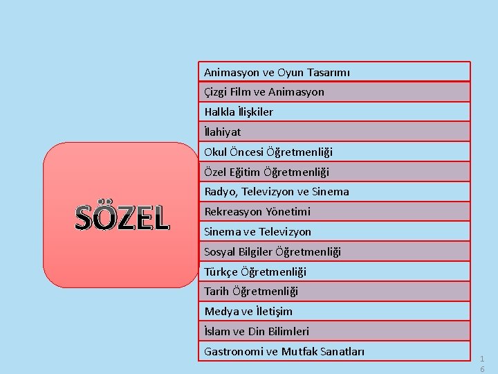 Animasyon ve Oyun Tasarımı Çizgi Film ve Animasyon Halkla İlişkiler İlahiyat Okul Öncesi Öğretmenliği