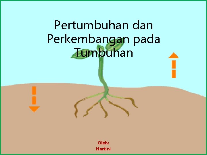 Pertumbuhan dan Perkembangan pada Tumbuhan Oleh: Hartini 