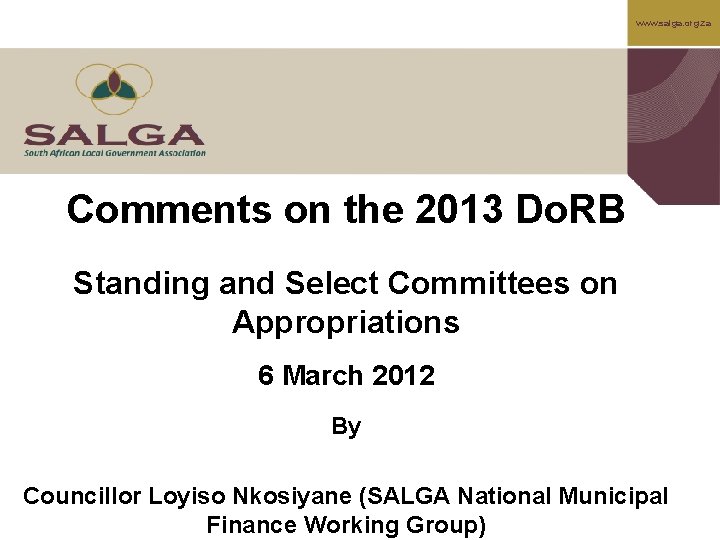 www. salga. org. za Comments on the 2013 Do. RB Standing and Select Committees