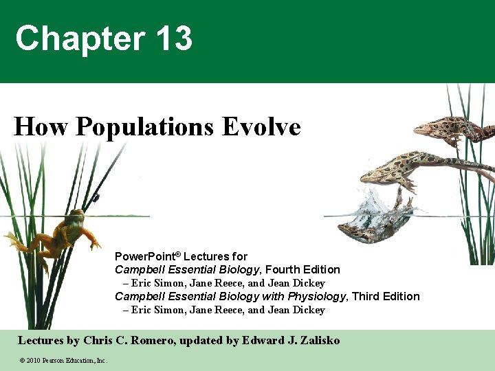 Chapter 13 How Populations Evolve Power. Point® Lectures for Campbell Essential Biology, Fourth Edition