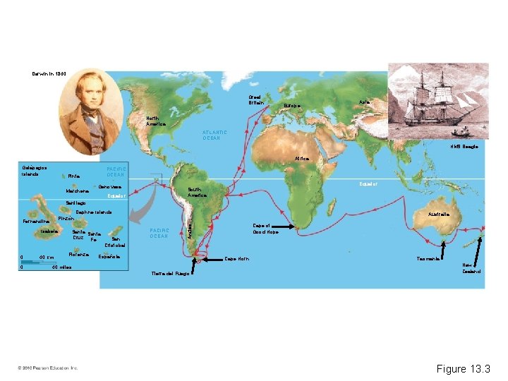 Darwin in 1840 Great Britain Europe Asia North America ATLANTIC OCEAN HMS Beagle Africa