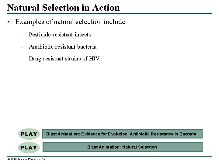 Natural Selection in Action • Examples of natural selection include: – Pesticide-resistant insects –