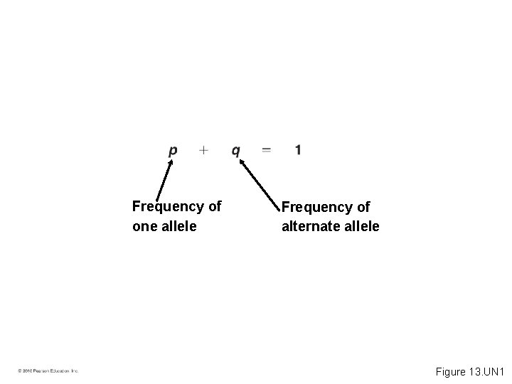 Frequency of one allele Frequency of alternate allele Figure 13. UN 1 