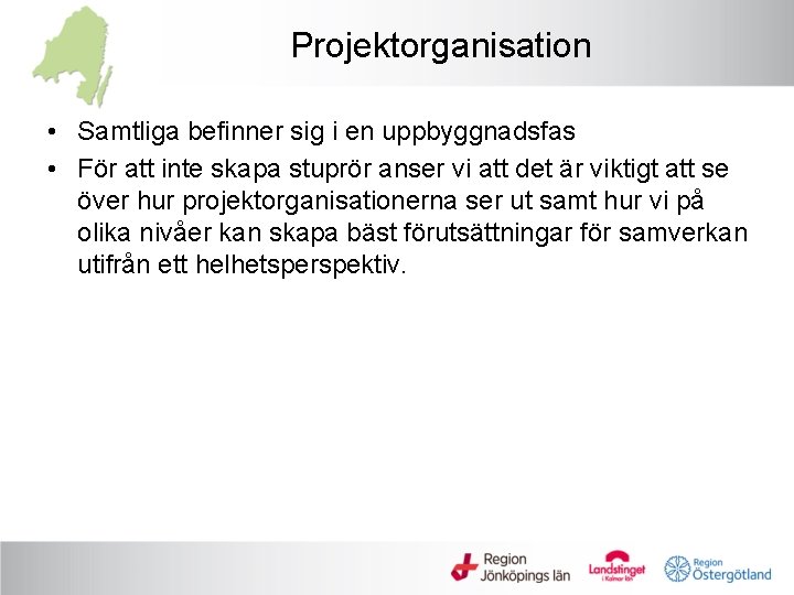 Projektorganisation • Samtliga befinner sig i en uppbyggnadsfas • För att inte skapa stuprör