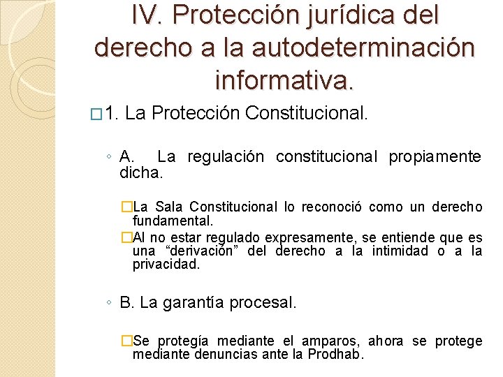 IV. Protección jurídica del derecho a la autodeterminación informativa. � 1. La Protección Constitucional.