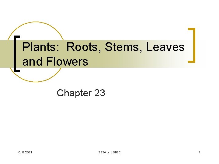 Plants: Roots, Stems, Leaves and Flowers Chapter 23 6/12/2021 SB 3 A and SB