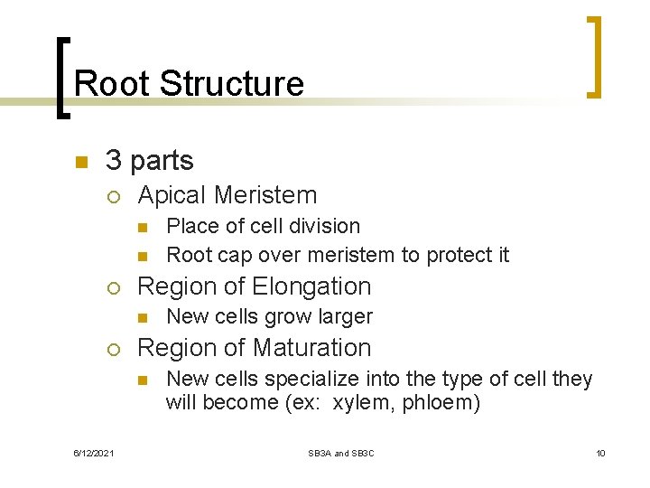 Root Structure n 3 parts ¡ Apical Meristem n n ¡ Region of Elongation