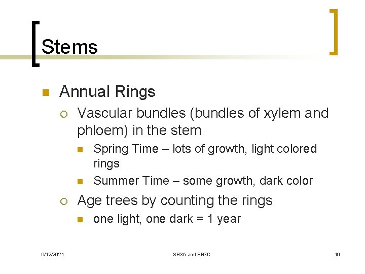 Stems n Annual Rings ¡ Vascular bundles (bundles of xylem and phloem) in the